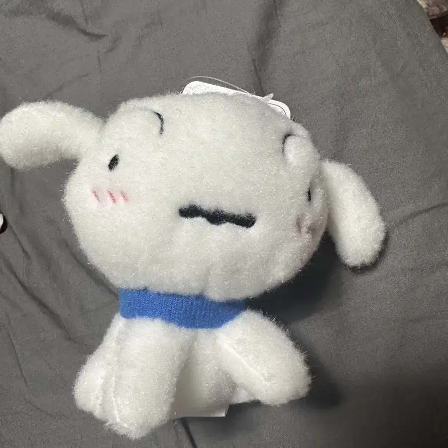 흰둥이 봉제인형 10cm