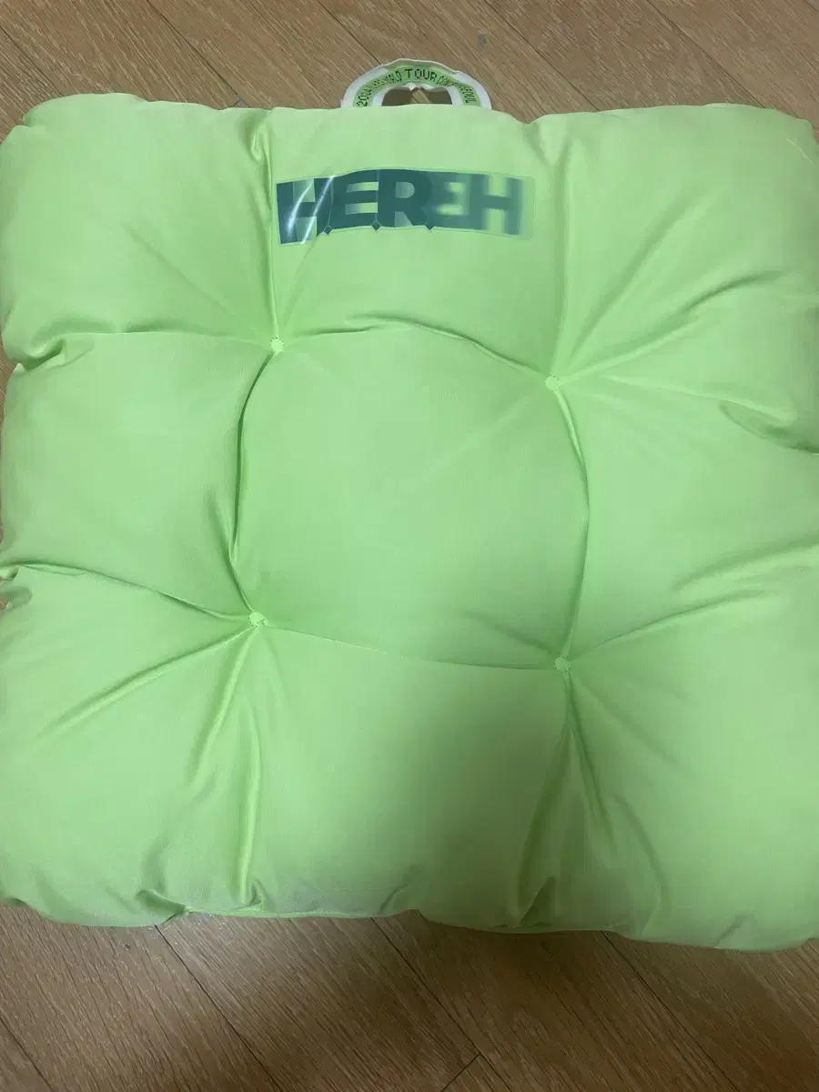 IU Hulkon Cushion