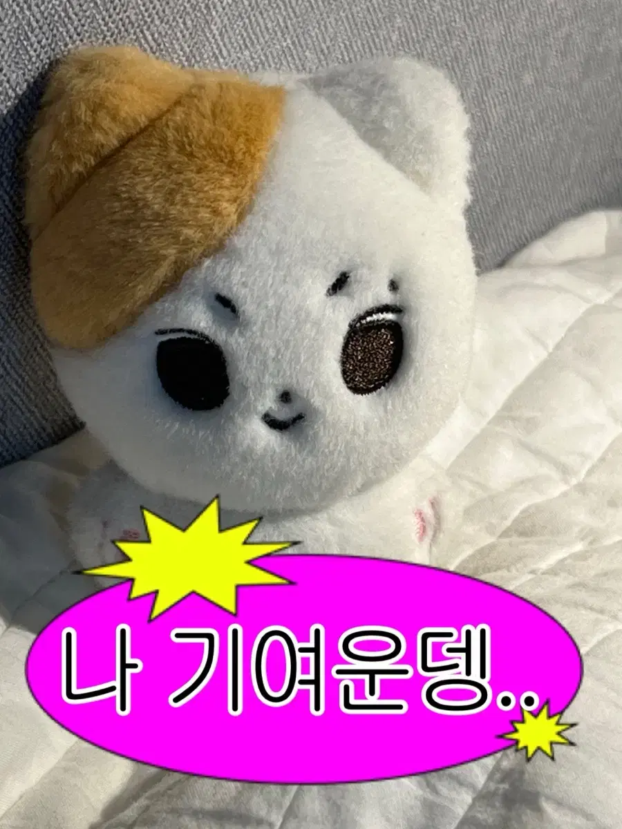 Yang Jungwon doll sell enhypen