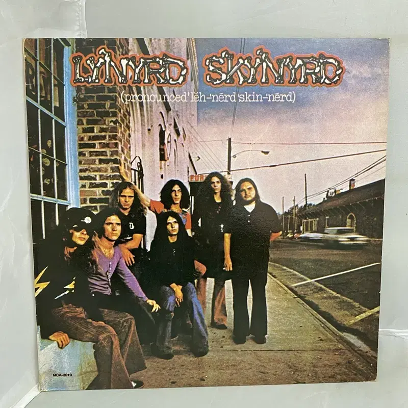 lynnyrd skynyrd lp / aa3655