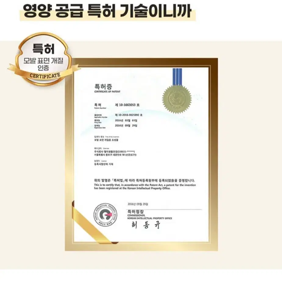 엘라스틴 프로틴클리닉단백질고영양샴푸대용량1000MLX2개 11490원