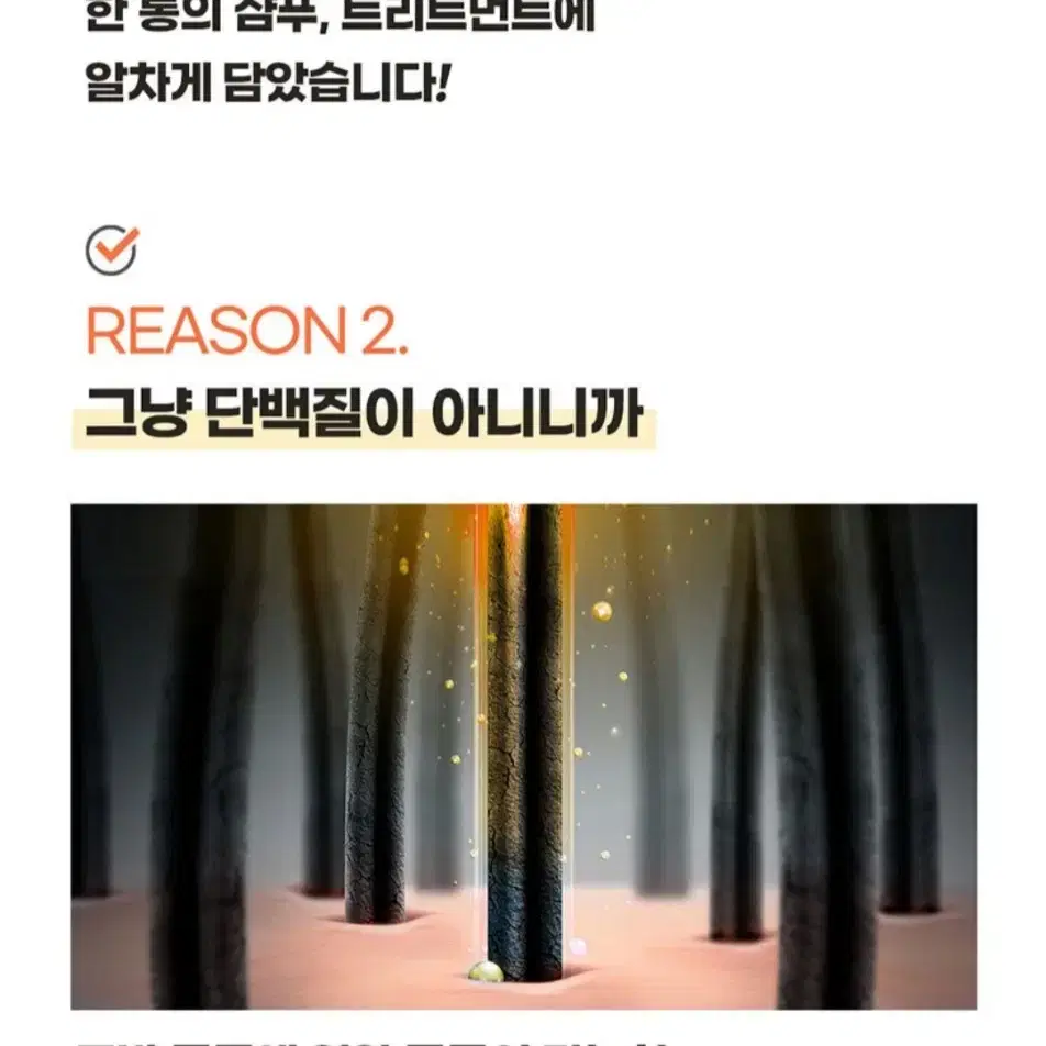 엘라스틴 프로틴클리닉단백질고영양트리트먼트700MLX2개 11490원