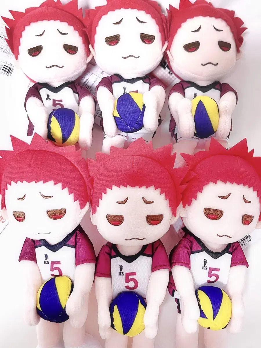 Haikyuu Tendo Satori Purapachi