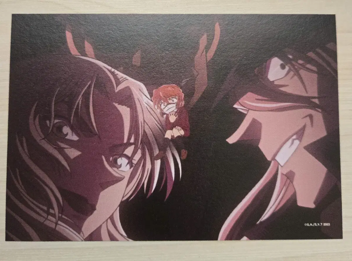 Detective Conan Black Iron's Mystery Train Haibara Ai Hong Rose Postcard