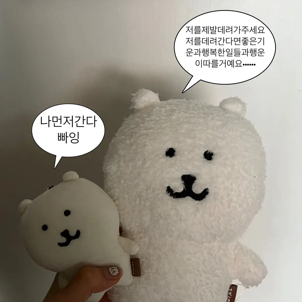 털담곰 털찐곰 농담곰 판매