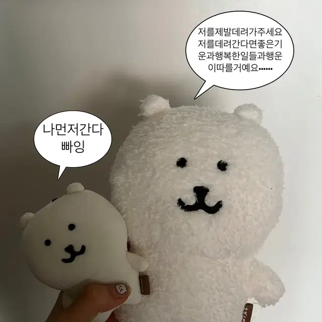 털담곰 털찐곰 농담곰 판매