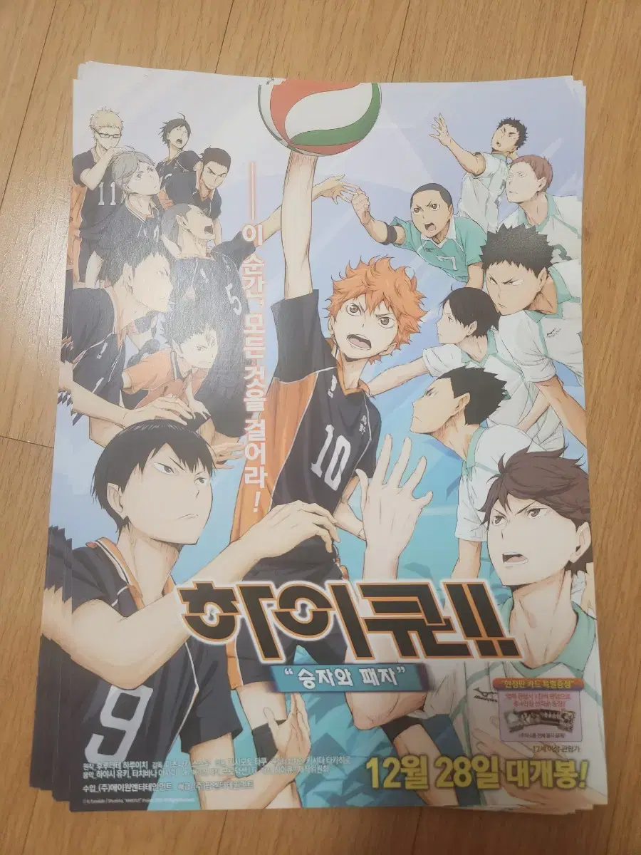 Haikyuu Winners and Losers Pamphlet