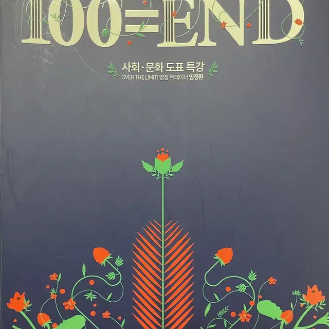 [2024] 임정환 도표특강 100=END 사회문화