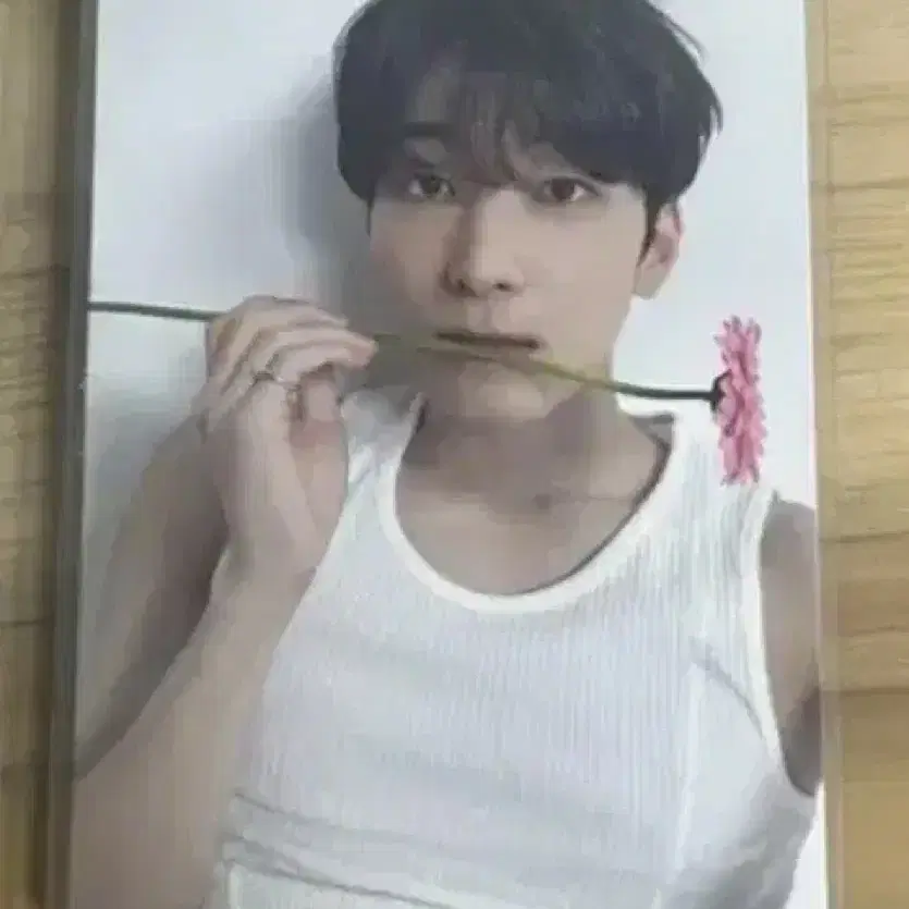 세븐틴 원우 포카 양도