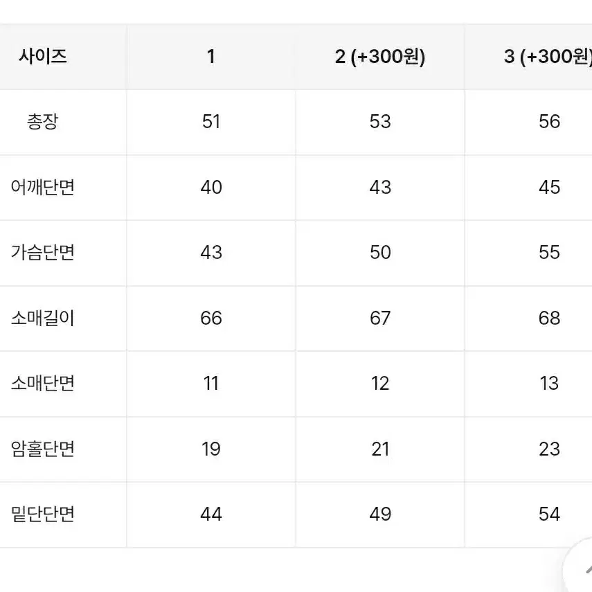 자수 포인트 슬림 후드집업