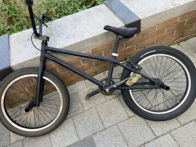 4130 bmx(데칼 때짐)