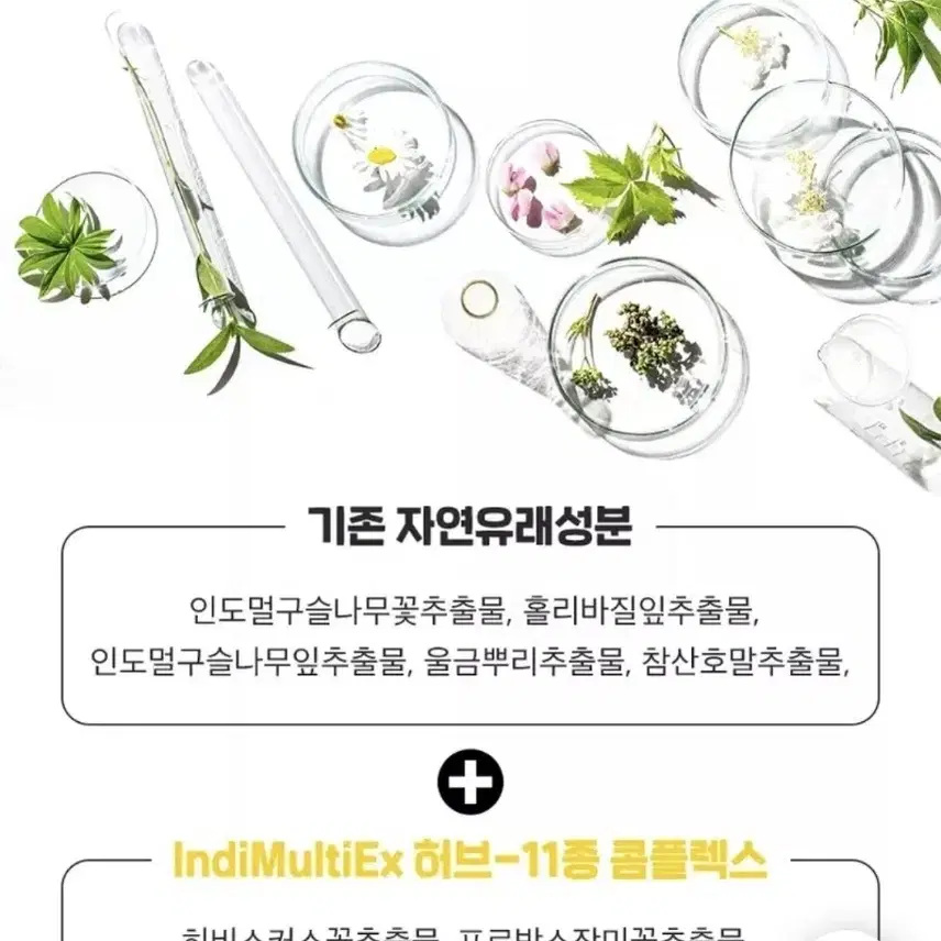 라비오라) 레몬 허니 워시 오프팩 시즌2 최신상