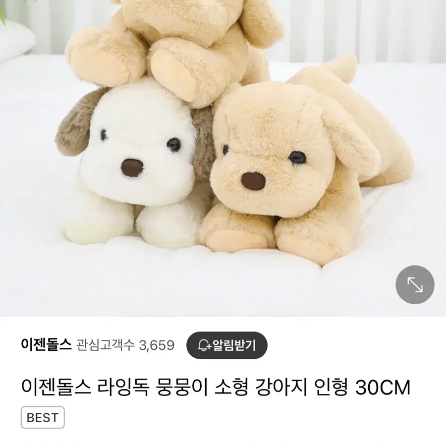 뭉뭉이 라잉독 강아지인형