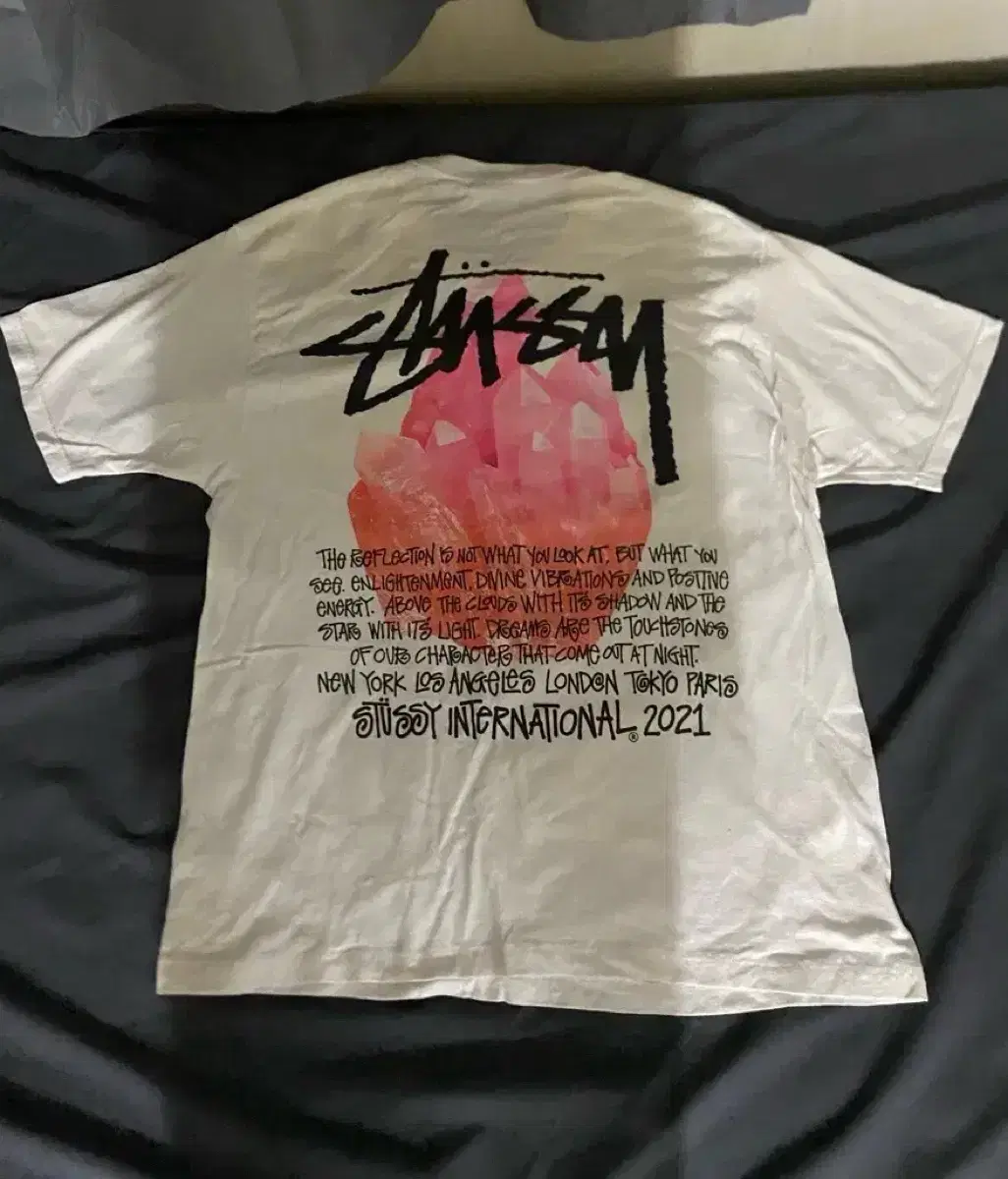 [Quick sale] Stussy T-shirt L