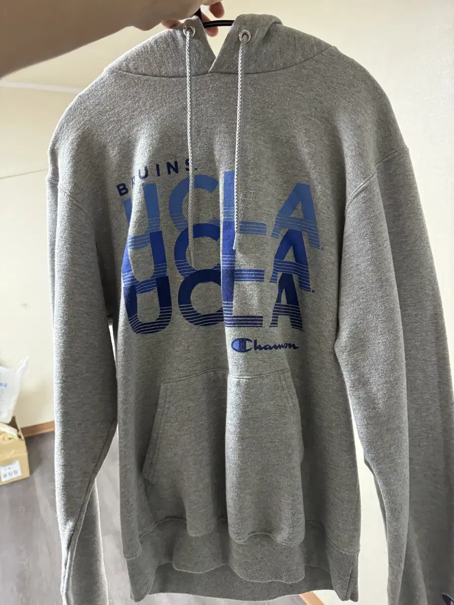 Champions UCLA Hoodie