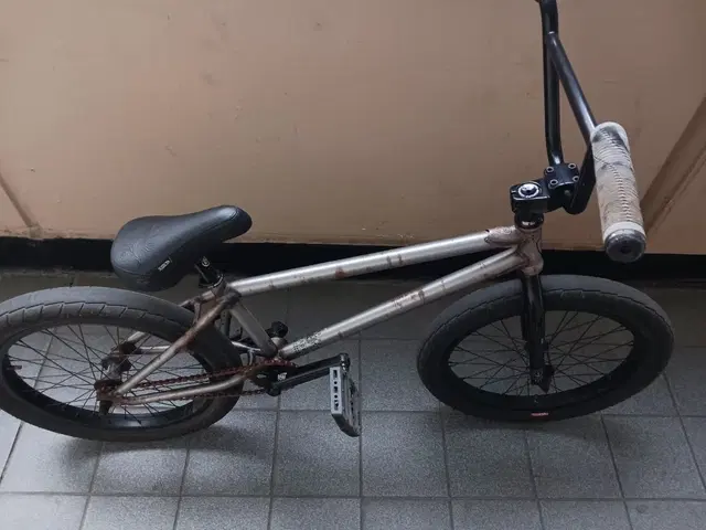 BMX 살바도르 XL(판매) 대차XX