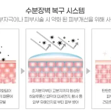 끌리드 UV 프로텍터 에스테틱 전용 프리미엄 썬크림 피부장벽 모공관리 끈