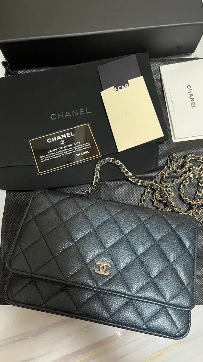 Chanel Classic WOC No. 25