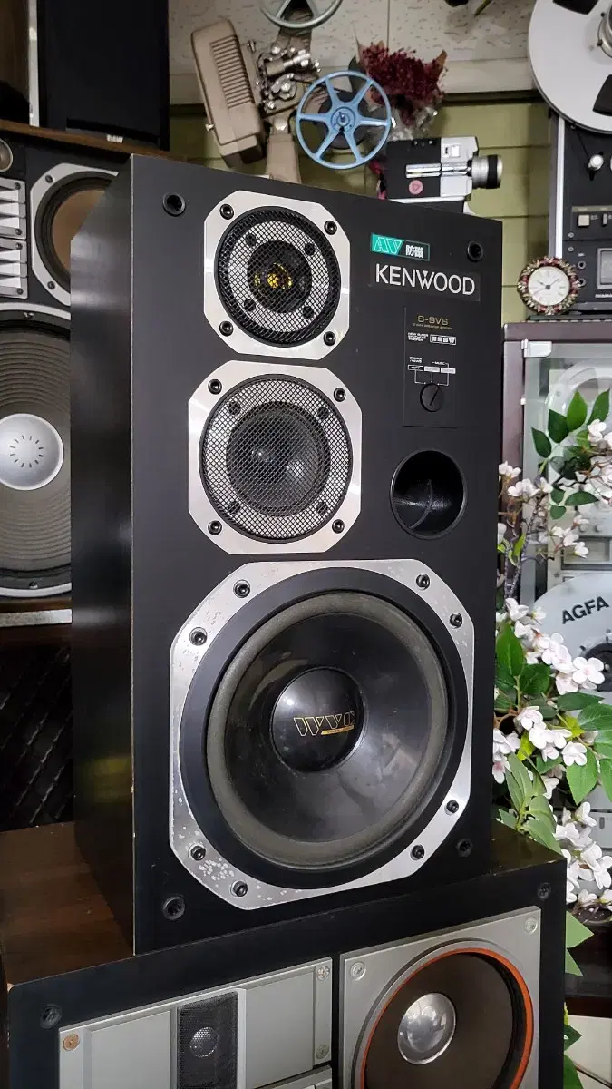 Kenwood  Speaker