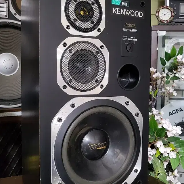 Kenwood  Speaker