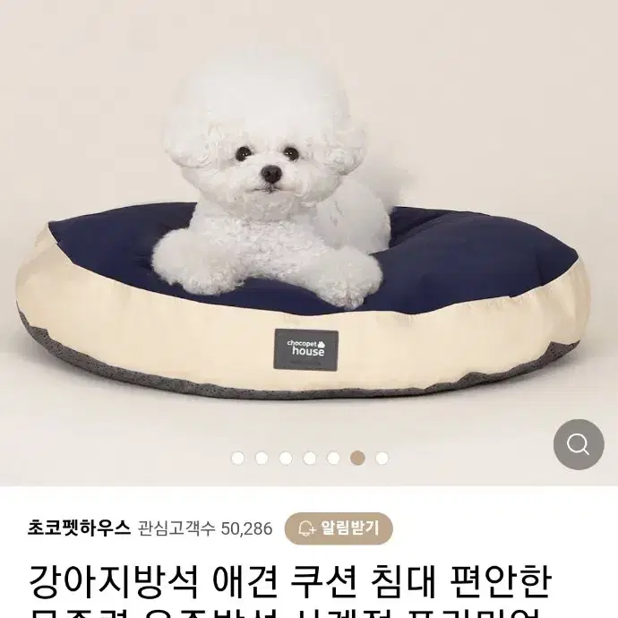 강아지 고양이 무중력 우주방석 프리미엄