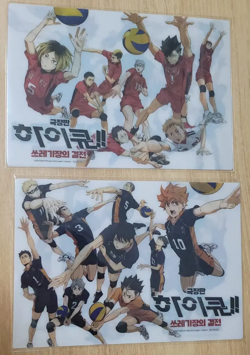 Haikyuu Dumpster Duel Theater Edition pre-order benefit A5 Goods Package Karasu no Nekoma pet