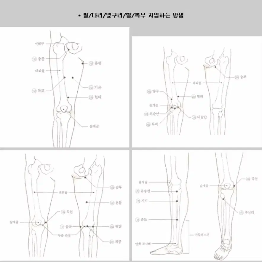 특허 전문가용 지압봉 이중 미끄럼방지 3종 세트 단풍나무 전신지압기