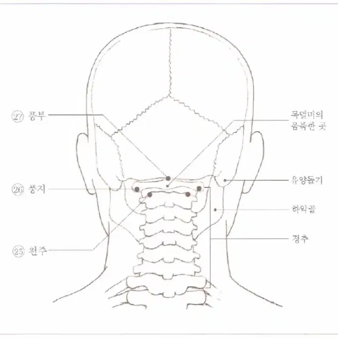 특허 전문가용 지압봉 이중 미끄럼방지 3종 세트 단풍나무 전신지압기