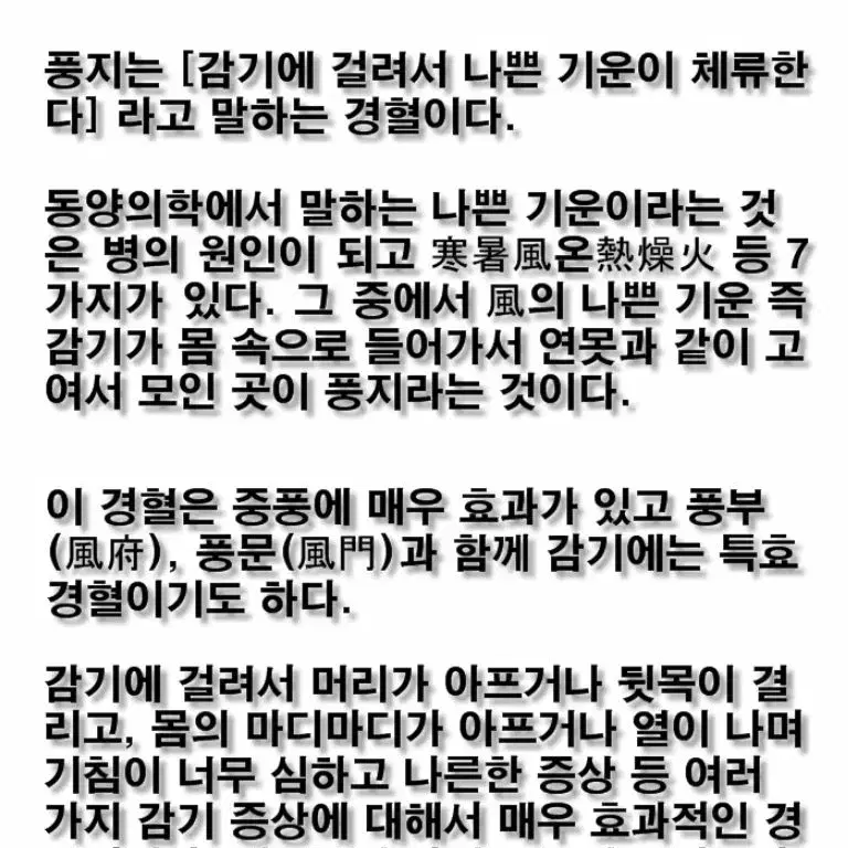 특허 전문가용 지압봉 이중 미끄럼방지 3종 세트 단풍나무 전신지압기