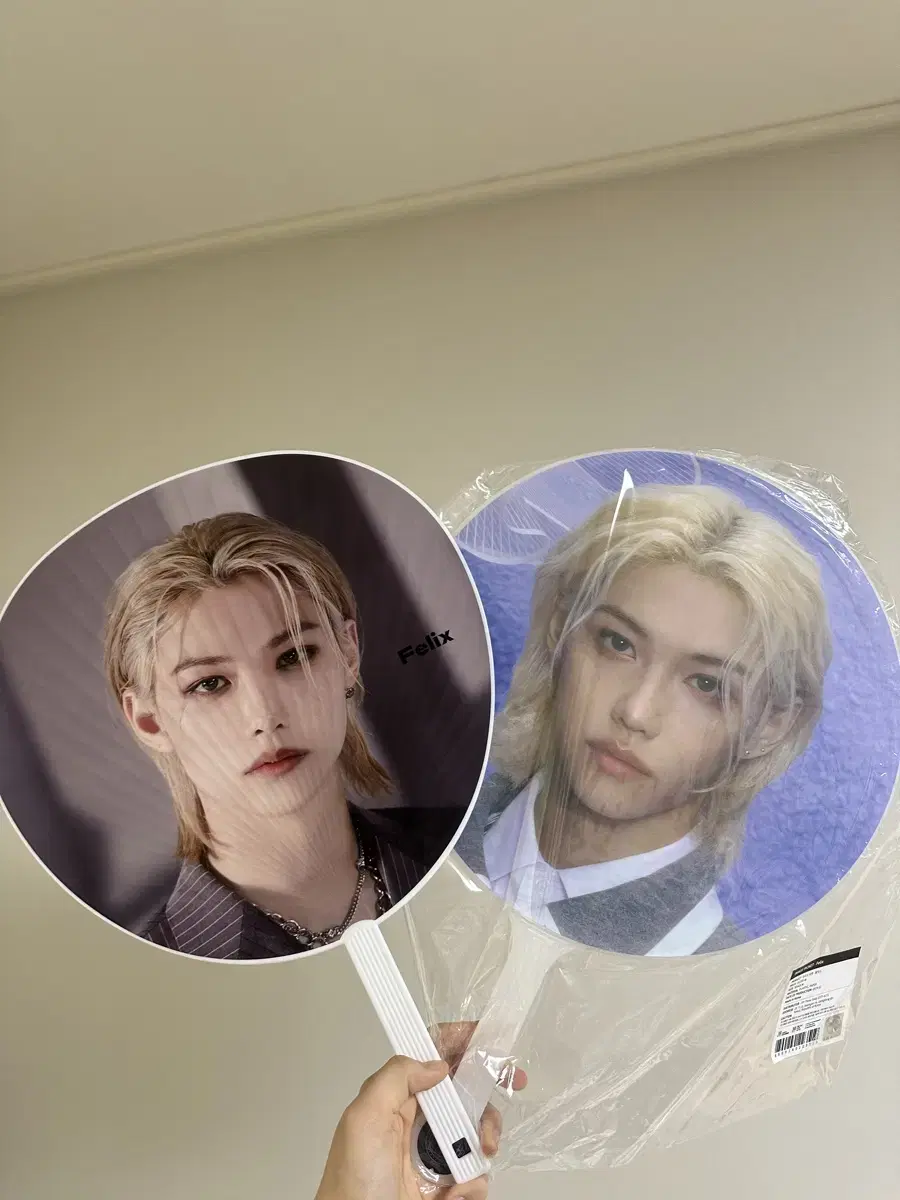 Straykids felix Yongbok wuchiwa sell Magic School skz fanmeeting md Japan