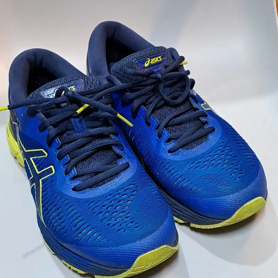 아식스 GEL-KAYANO 25 1011A019  260mm