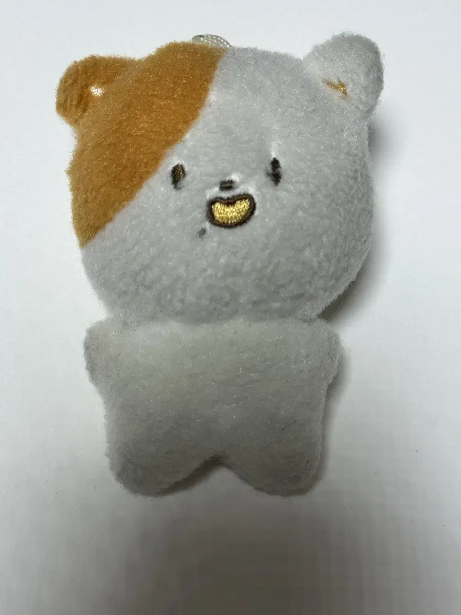 NCT jisung doll pokémon