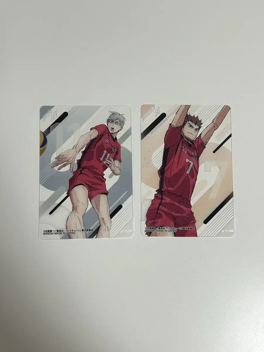 Haiba Lief + Inuoka Soy Photo Card (Nekoma, Haikyuu)