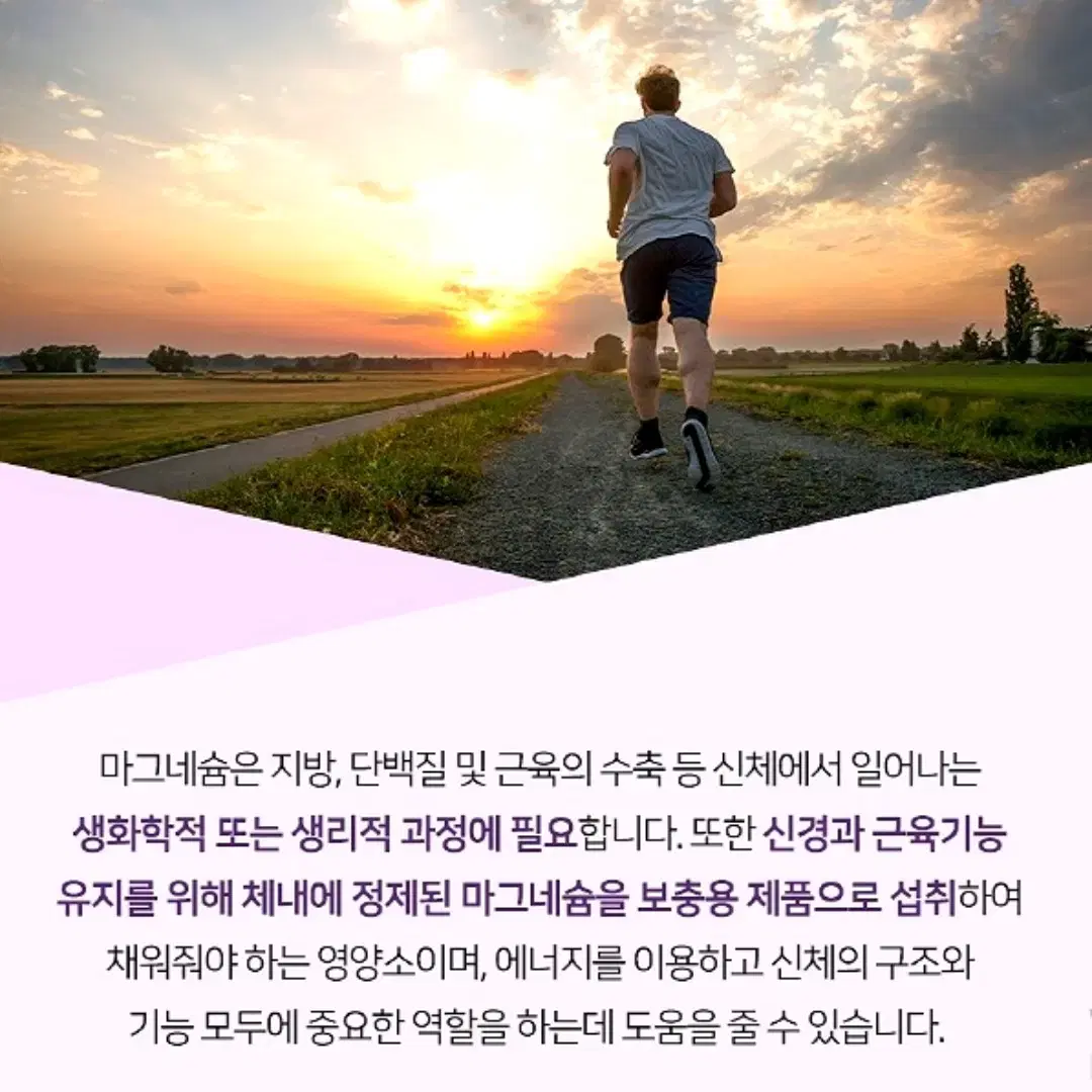 [3개월분]뉴로하스 캐나다직수입 마그네슘400 순수Mg100% 90정1병