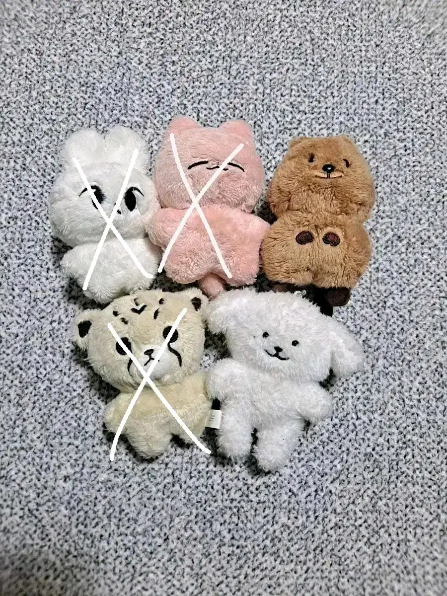 NCT dolls (Hato, Jannan, Zengka, Chitari, Xen Mung) cheap wts