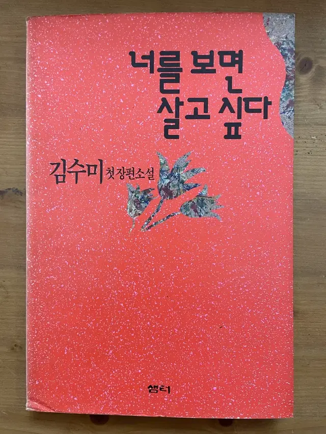 너를 보면 살고 싶다 : 김수미 첫 장편소설