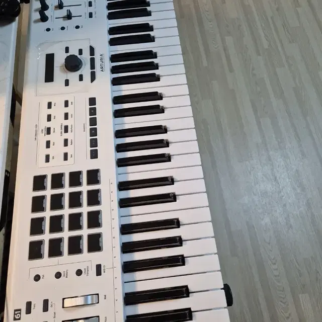 Arturia keylab 31 MK2 White / 마스터키보드새거