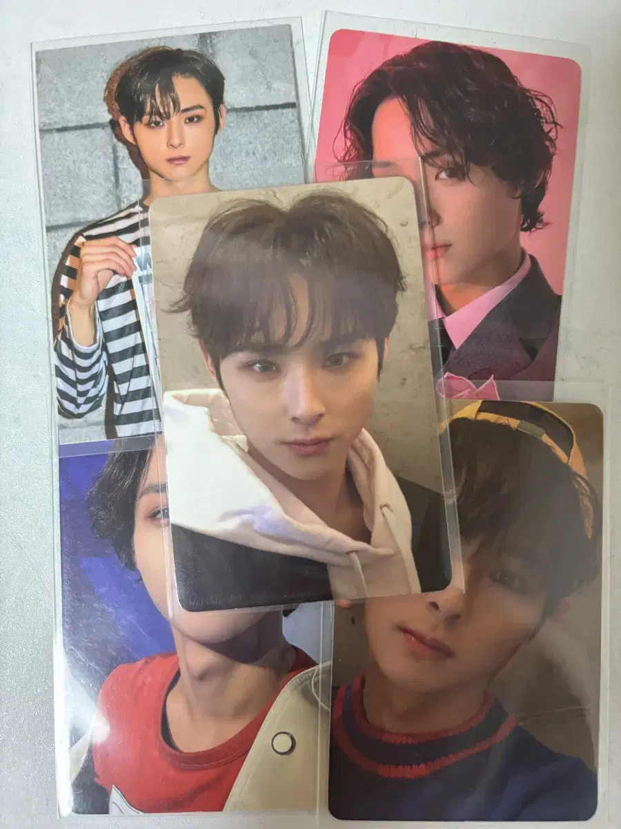 dkz mingyu photocard in bulk