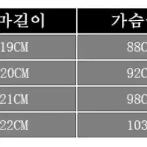 졸업사진 디즈니 백설공주 드레스 대여