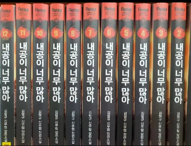 내공이 너무 많아1-12완