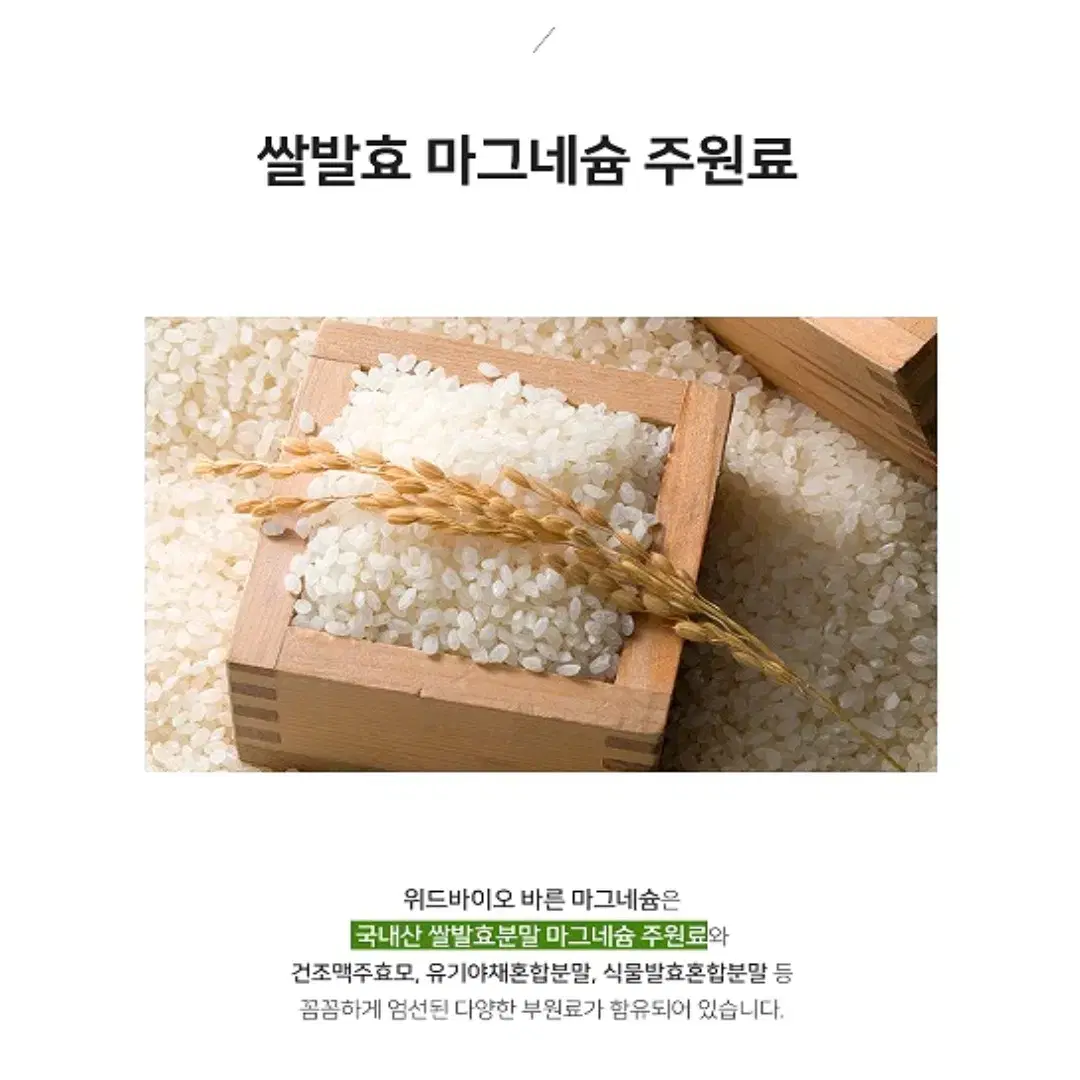 위드바이오 국산쌀발효 안심 마그네슘 850mg 90정 1병 무료배송