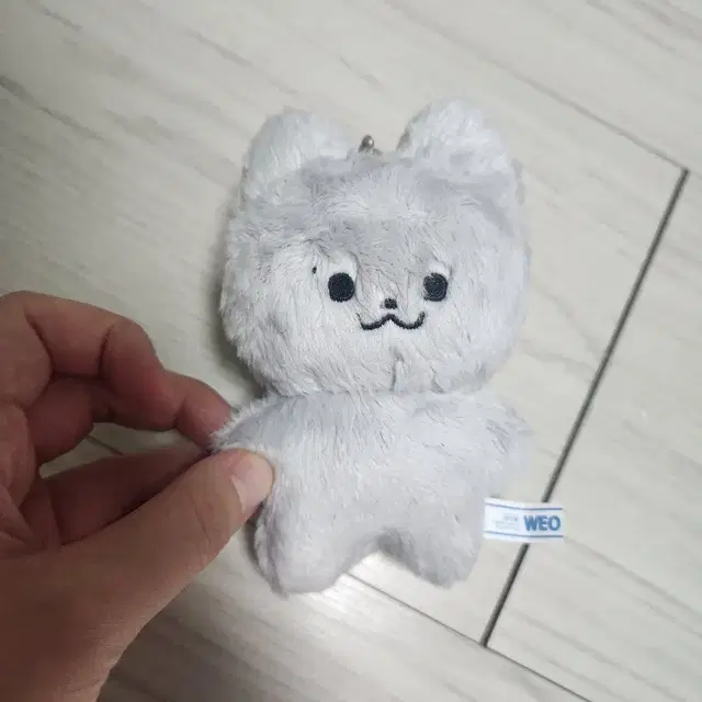 더보이즈 주냥이