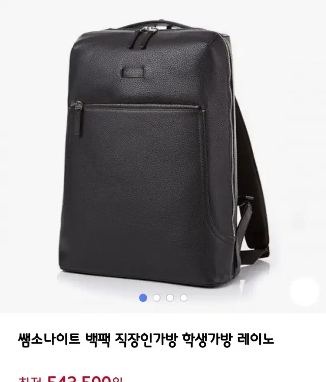 Samsonite 샘소나이트 블랙라벨 가죽 백팩