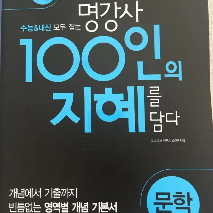 명강사 100인의 지혜를 담다 문학