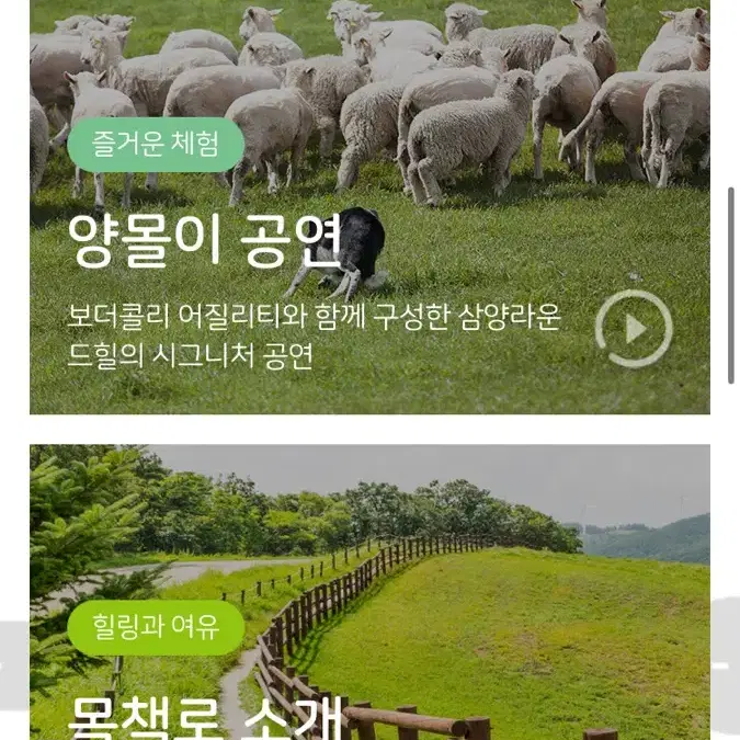 삼양라운드힐 삼양목장 2인