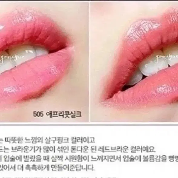 새상품 레브론 립글로즈