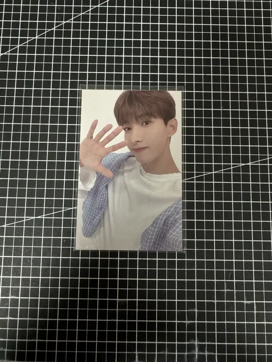 세븐틴 도겸 2021 캐럿랜드 티셔츠 포카 양도