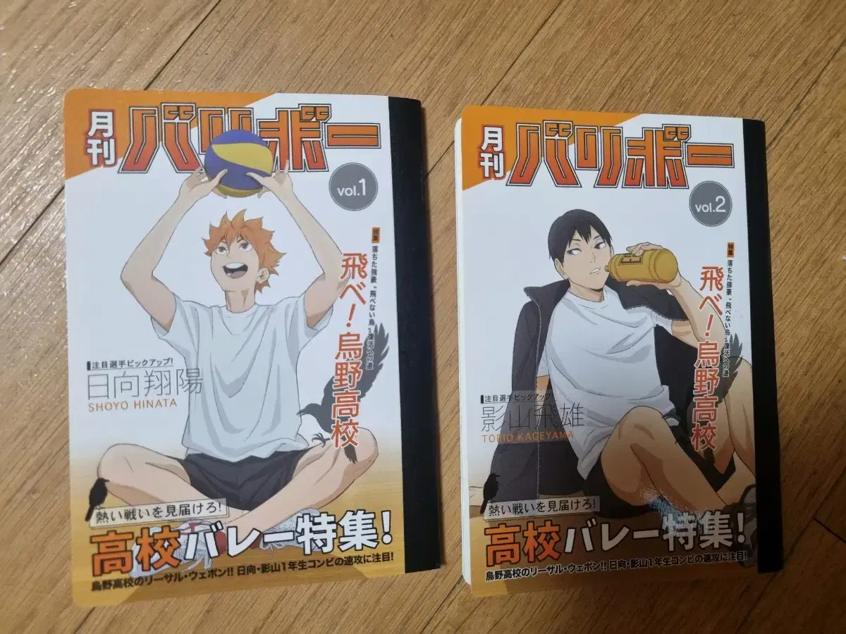 Haikyuu hinata sells Kageyama notes