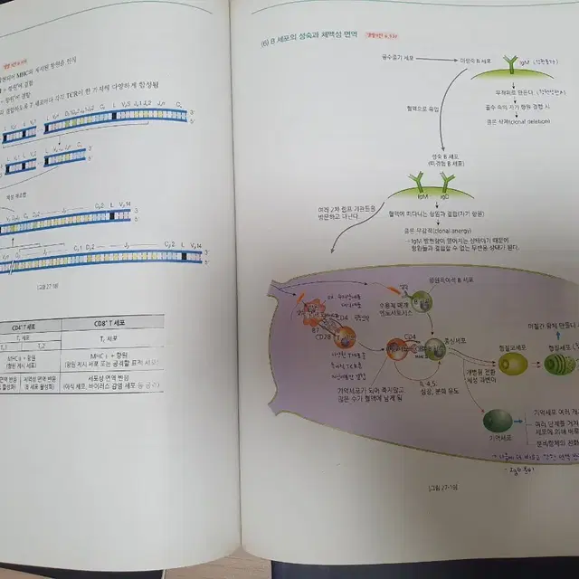 생물 1, 2  이론, 문제  총4권