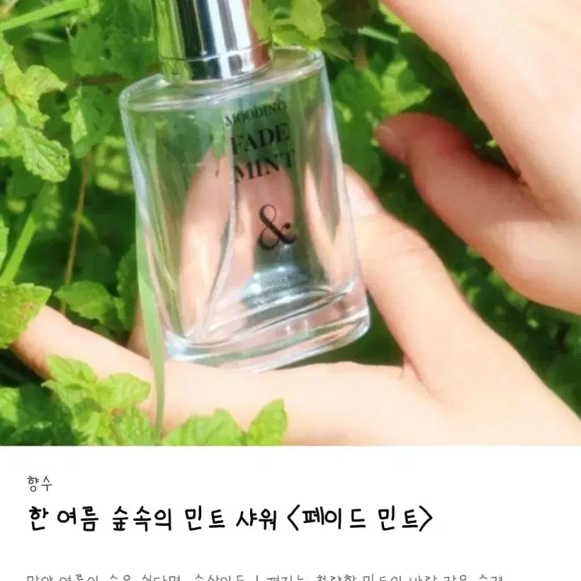 (얼리버드가 이하) 텀블벅 향수 무드잉 페이드 민트 50ml 양도